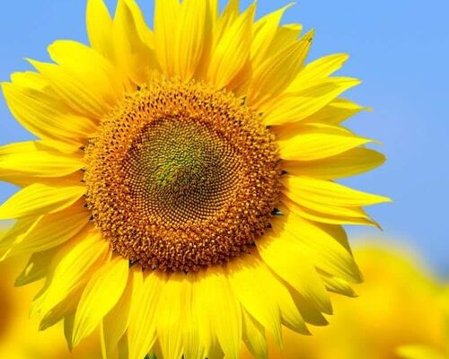 IMG_20220804_185026_783