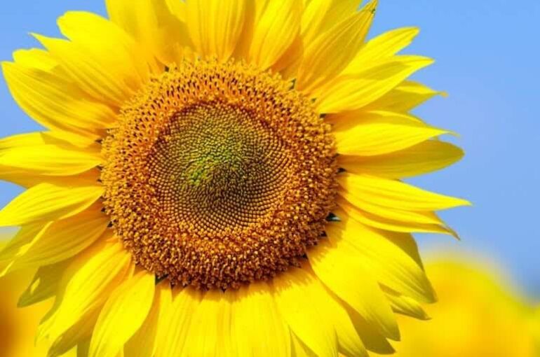 IMG_20220804_185026_783